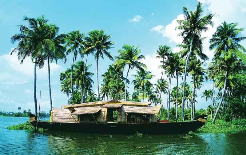 Houseboats and coconut palms beside the backwaters