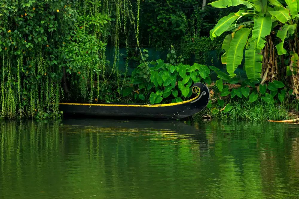 Small canoe on a quiet green waterway